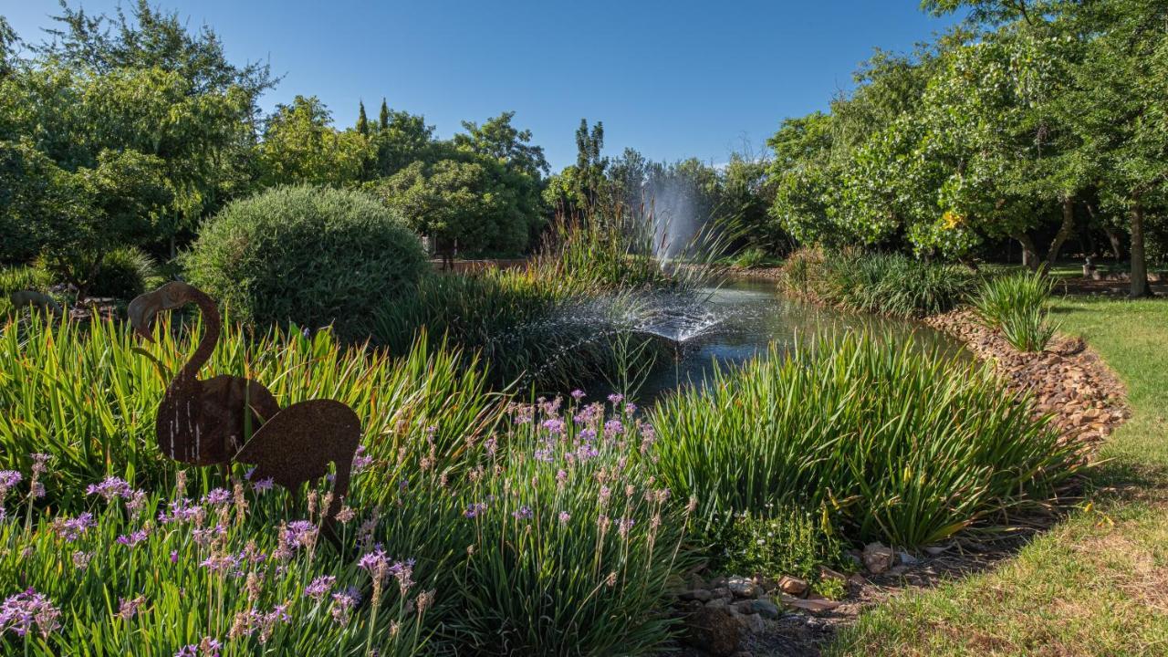 Eden Studios Riebeek-Kasteel Eksteriør billede